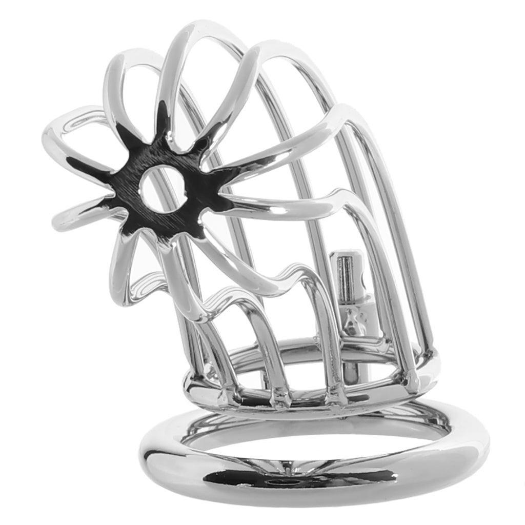 Blue Line Prisoner Cock Cage in Silver