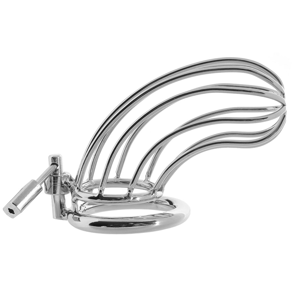 Blue Line Prisoner Cock Cage in Silver